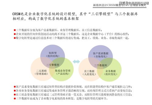 CRSM模型與LWC咨詢(xún)服務(wù)模式在網(wǎng)絡(luò)技術(shù)服務(wù)中的創(chuàng)新應(yīng)用